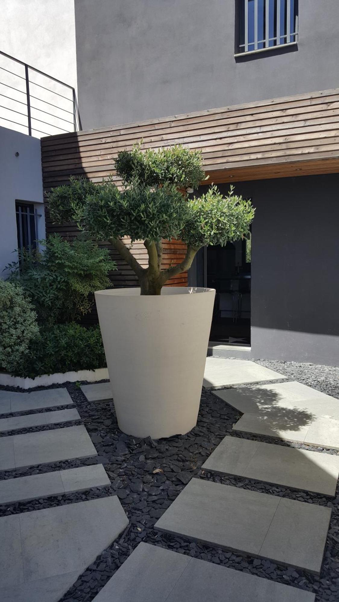 Villa Montpellier Exteriör bild